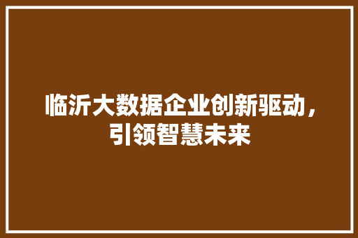 临沂大数据企业创新驱动，引领智慧未来  第1张