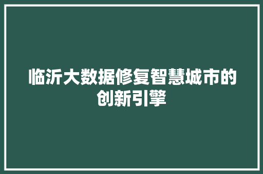 临沂大数据修复智慧城市的创新引擎