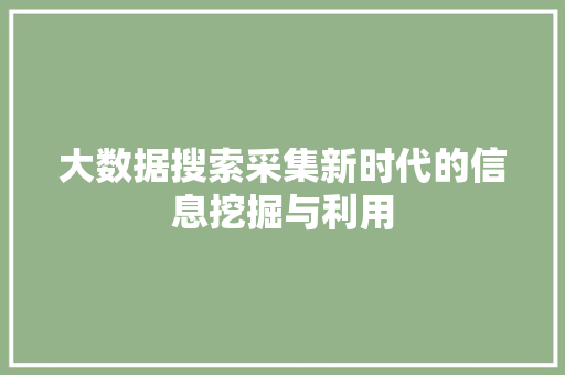 大数据搜索采集新时代的信息挖掘与利用