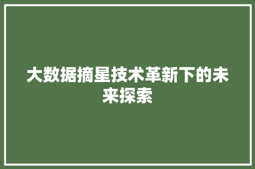 大数据摘星技术革新下的未来探索