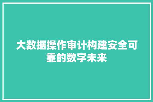大数据操作审计构建安全可靠的数字未来  第1张