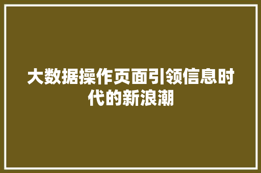 大数据操作页面引领信息时代的新浪潮