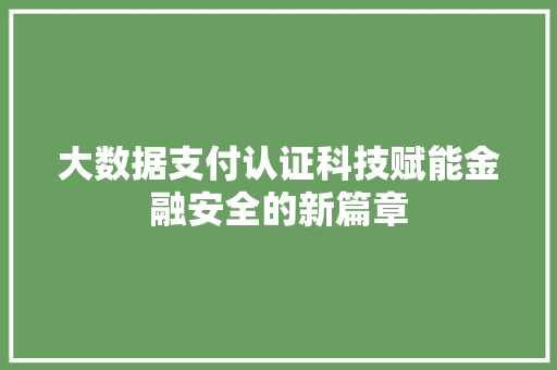 大数据支付认证科技赋能金融安全的新篇章  第1张
