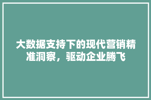 大数据支持下的现代营销精准洞察，驱动企业腾飞