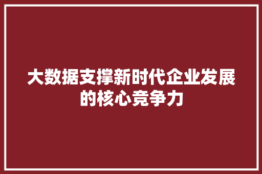 大数据支撑新时代企业发展的核心竞争力  第1张