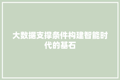 大数据支撑条件构建智能时代的基石