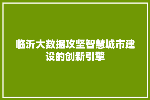 临沂大数据攻坚智慧城市建设的创新引擎