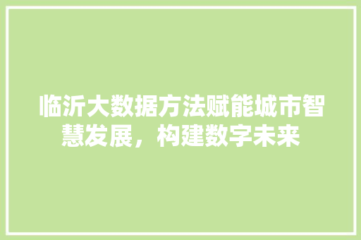 临沂大数据方法赋能城市智慧发展，构建数字未来  第1张