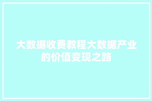 大数据收费教程大数据产业的价值变现之路  第1张