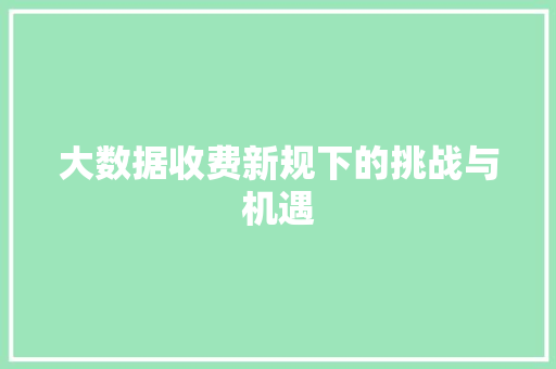大数据收费新规下的挑战与机遇  第1张