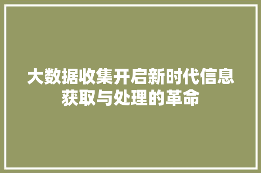 大数据收集开启新时代信息获取与处理的革命  第1张
