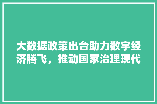 大数据政策出台助力数字经济腾飞，推动国家治理现代化  第1张