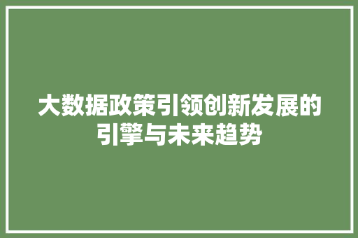 大数据政策引领创新发展的引擎与未来趋势  第1张