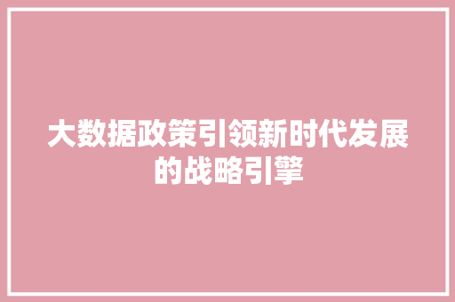 大数据政策引领新时代发展的战略引擎