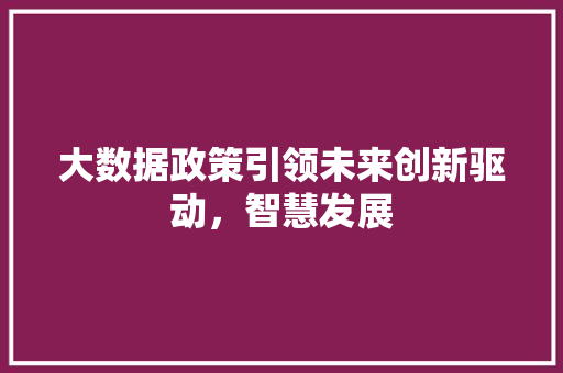 大数据政策引领未来创新驱动，智慧发展