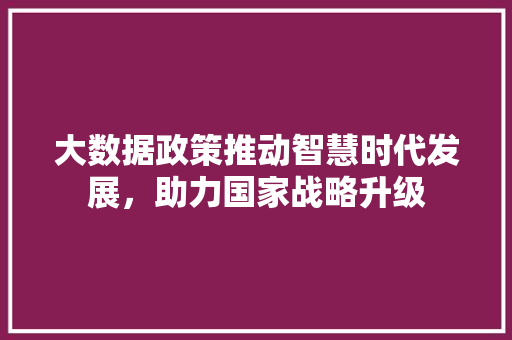 大数据政策推动智慧时代发展，助力国家战略升级  第1张