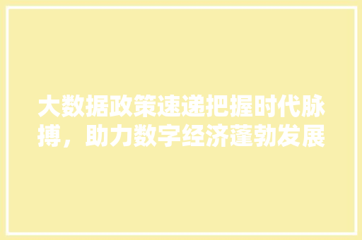 大数据政策速递把握时代脉搏，助力数字经济蓬勃发展  第1张
