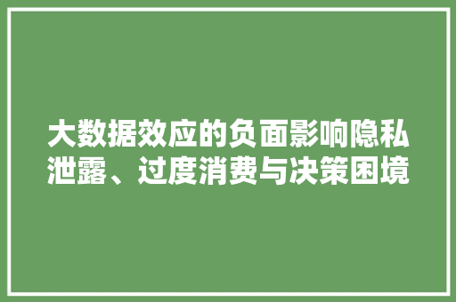 大数据效应的负面影响隐私泄露、过度消费与决策困境  第1张
