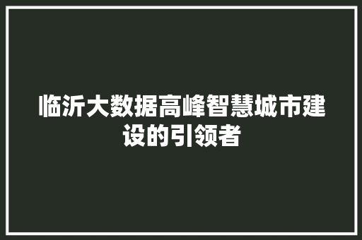 临沂大数据高峰智慧城市建设的引领者  第1张