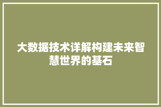 大数据技术详解构建未来智慧世界的基石