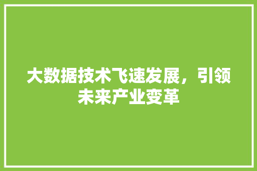 大数据技术飞速发展，引领未来产业变革