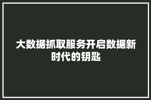 大数据抓取服务开启数据新时代的钥匙