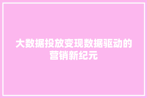 大数据投放变现数据驱动的营销新纪元  第1张
