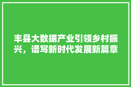 丰县大数据产业引领乡村振兴，谱写新时代发展新篇章