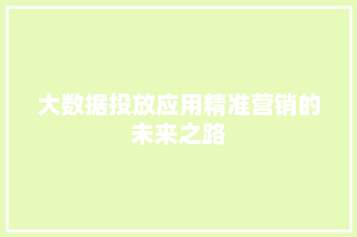 大数据投放应用精准营销的未来之路