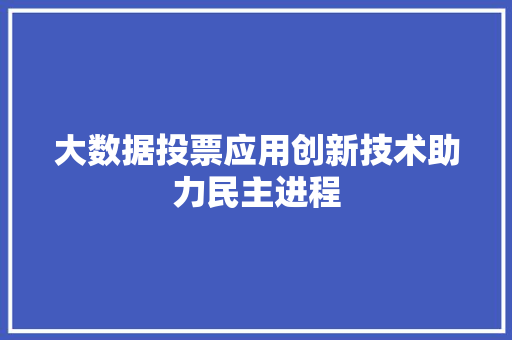 大数据投票应用创新技术助力民主进程  第1张