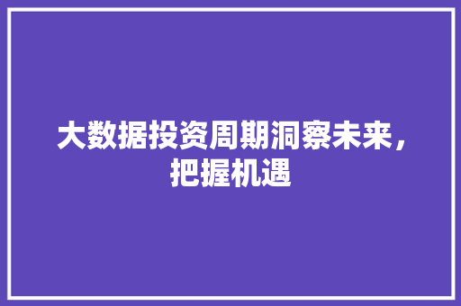 大数据投资周期洞察未来，把握机遇  第1张