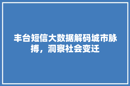 丰台短信大数据解码城市脉搏，洞察社会变迁  第1张