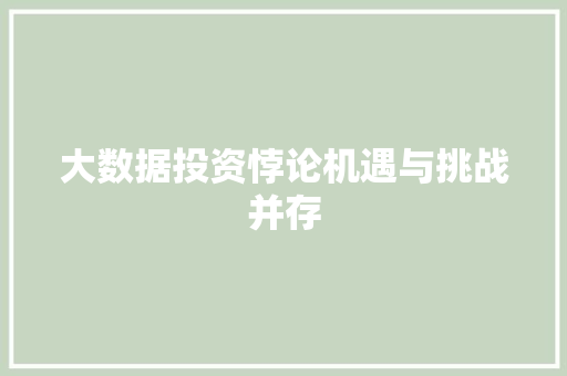 大数据投资悖论机遇与挑战并存  第1张