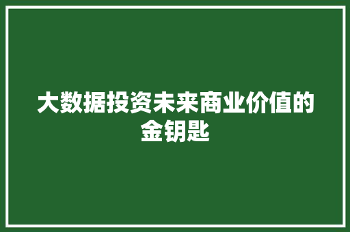 大数据投资未来商业价值的金钥匙