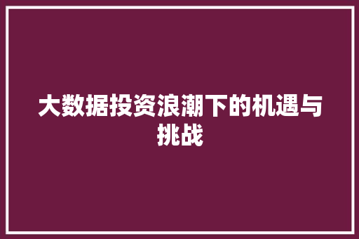 大数据投资浪潮下的机遇与挑战  第1张