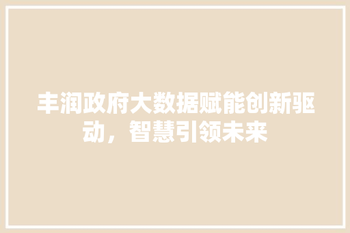 丰润政府大数据赋能创新驱动，智慧引领未来