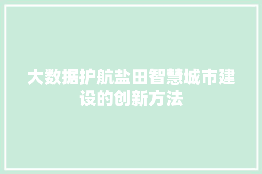 大数据护航盐田智慧城市建设的创新方法