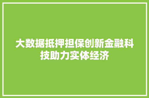 大数据抵押担保创新金融科技助力实体经济