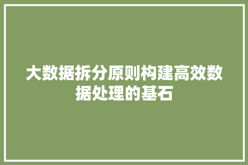 大数据拆分原则构建高效数据处理的基石