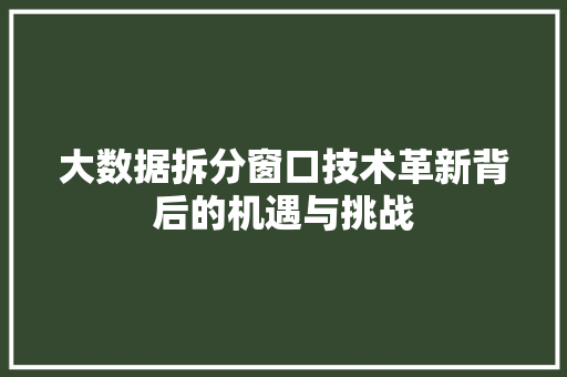 大数据拆分窗口技术革新背后的机遇与挑战