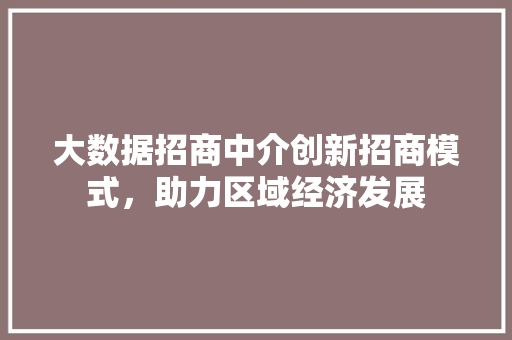 大数据招商中介创新招商模式，助力区域经济发展