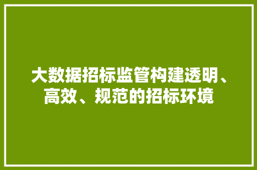 大数据招标监管构建透明、高效、规范的招标环境  第1张