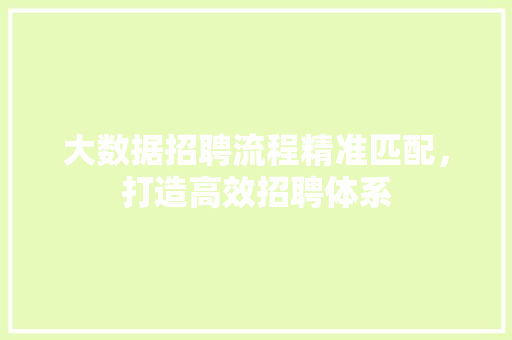 大数据招聘流程精准匹配，打造高效招聘体系
