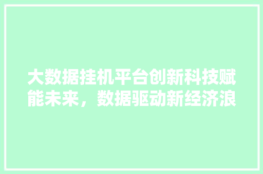 大数据挂机平台创新科技赋能未来，数据驱动新经济浪潮  第1张