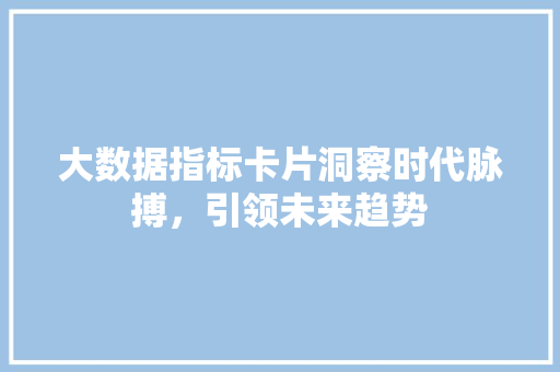 大数据指标卡片洞察时代脉搏，引领未来趋势  第1张