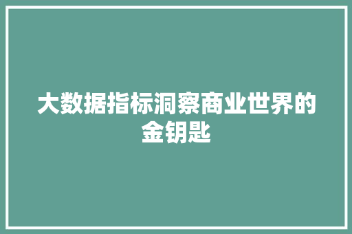 大数据指标洞察商业世界的金钥匙