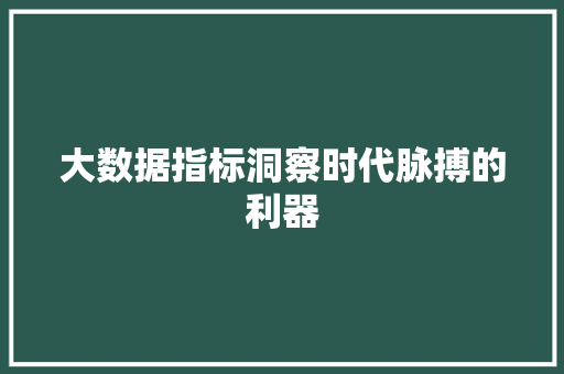 大数据指标洞察时代脉搏的利器