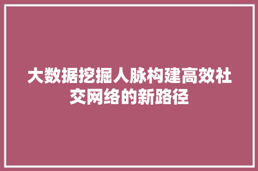 大数据挖掘人脉构建高效社交网络的新路径