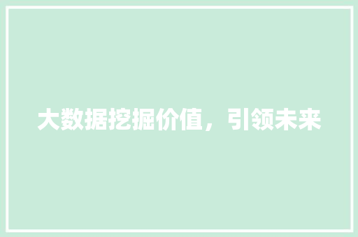 大数据挖掘价值，引领未来