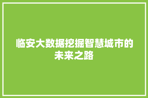 临安大数据挖掘智慧城市的未来之路  第1张
